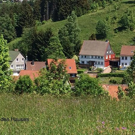 Apartamento Am Mühlenberg Altenau  Exterior foto
