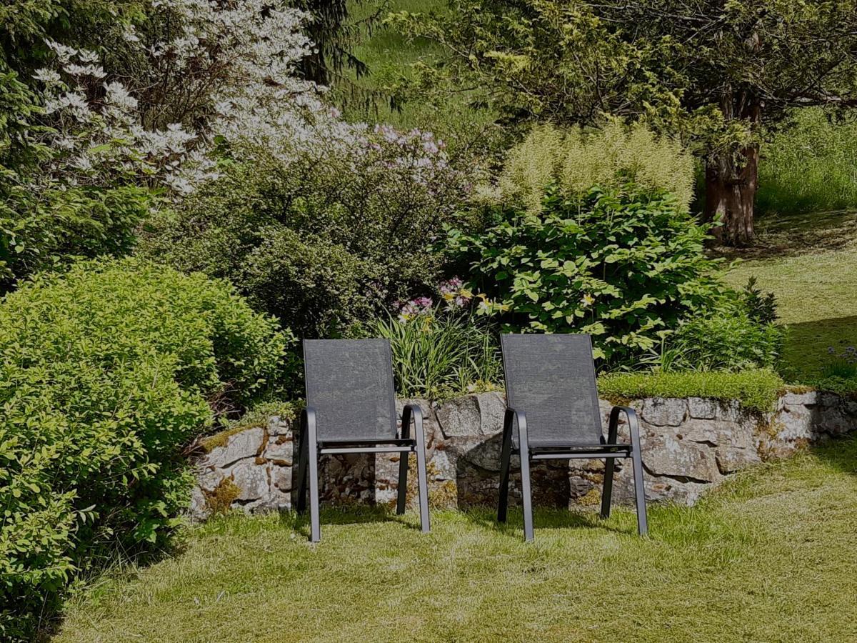 Apartamento Am Mühlenberg Altenau  Exterior foto