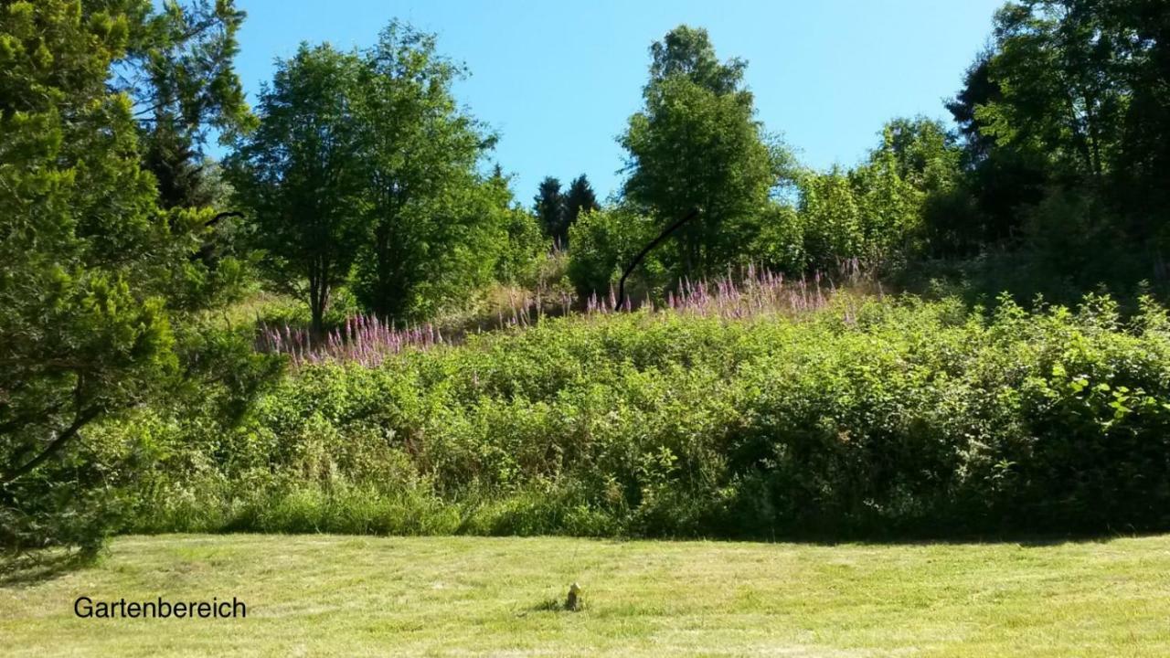 Apartamento Am Mühlenberg Altenau  Exterior foto